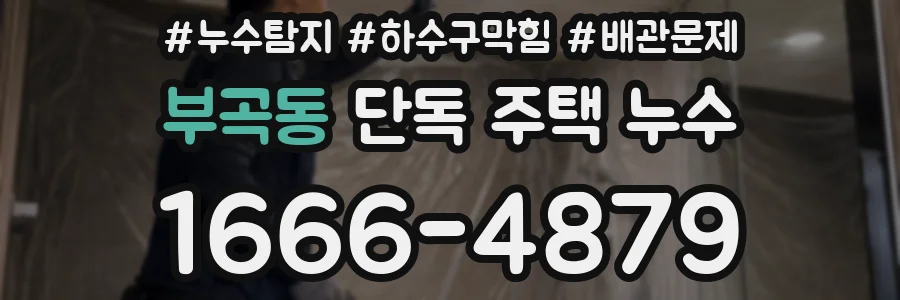 부곡동 단독 주택 누수
