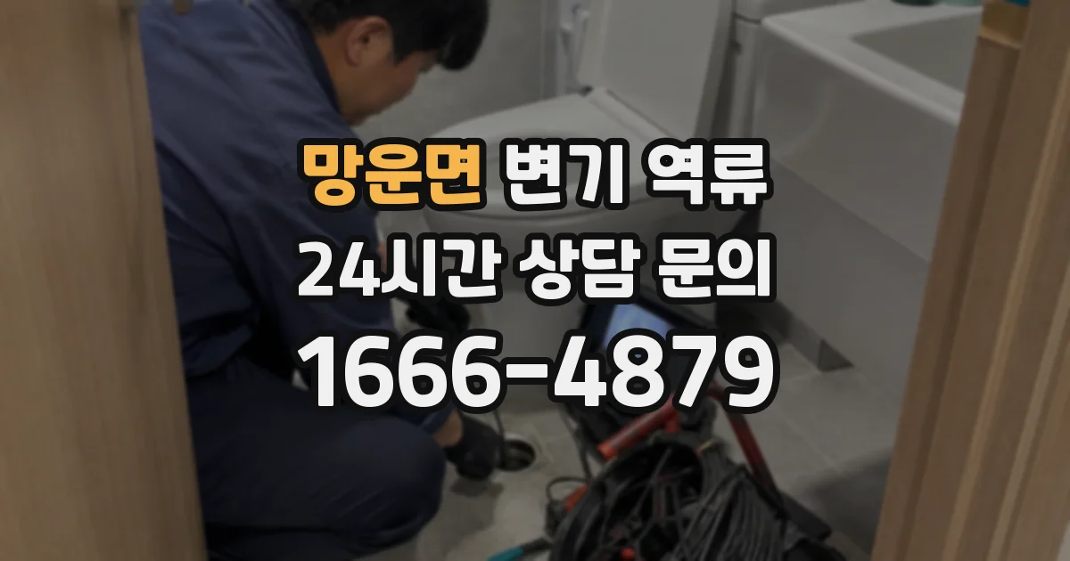 망운면 변기 역류
