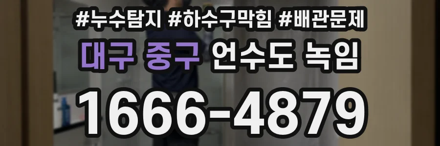 대구 중구 언수도 녹임