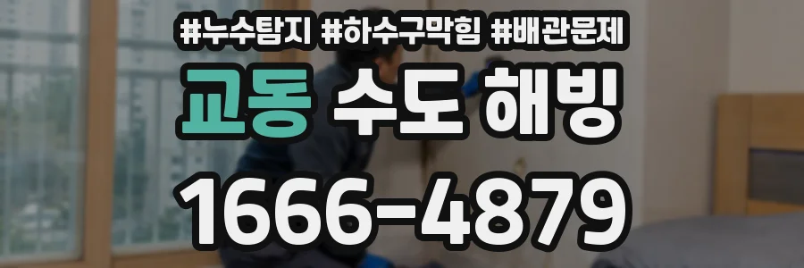 교동 수도 해빙