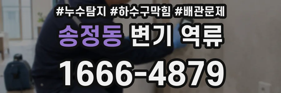 송정동 변기 역류