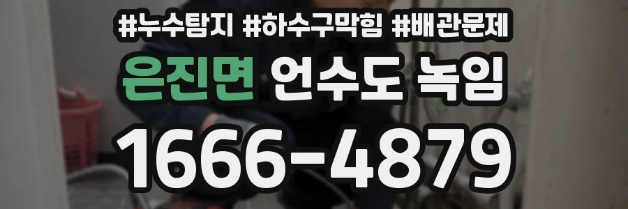 은진면 언수도 녹임