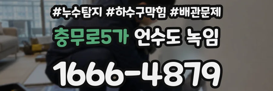 충무로5가 언수도 녹임
