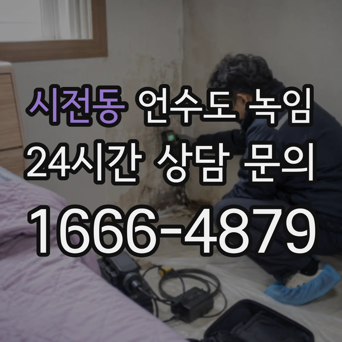 시전동 언수도 녹임