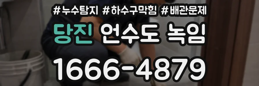 당진 언수도 녹임