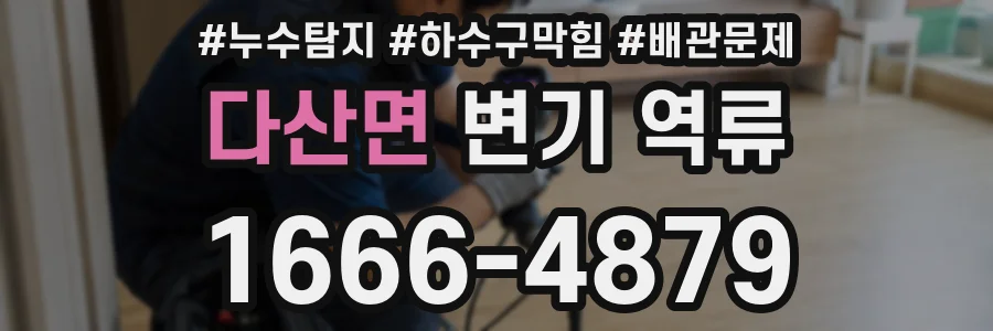 다산면 변기 역류
