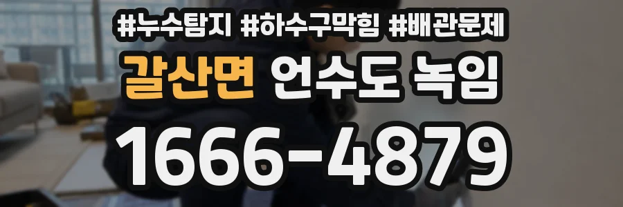 갈산면 언수도 녹임