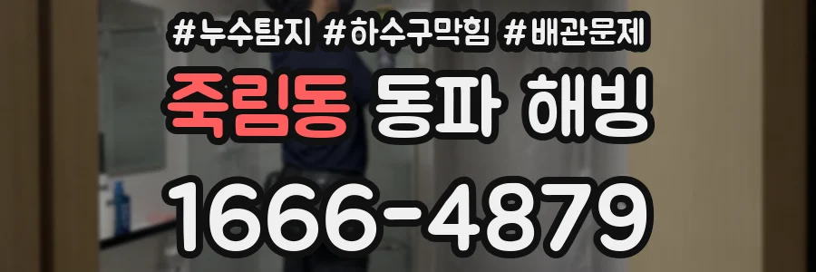 죽림동 동파 해빙
