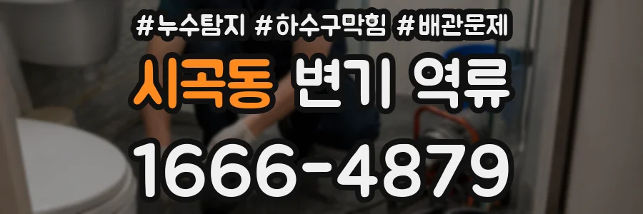 시곡동 변기 역류