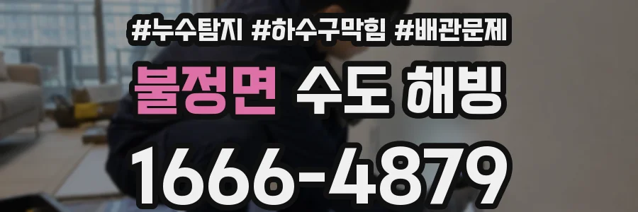 불정면 수도 해빙