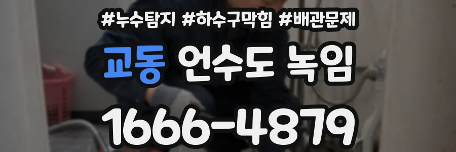 교동 언수도 녹임