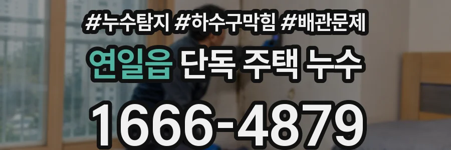 연일읍 단독 주택 누수