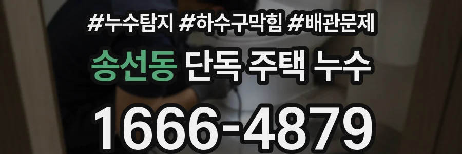 송선동 단독 주택 누수
