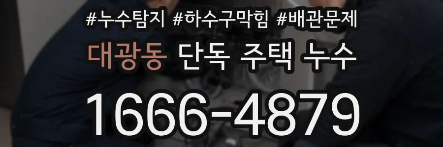 대광동 단독 주택 누수