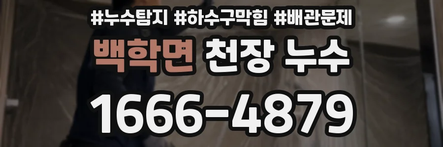 백학면 천장 누수