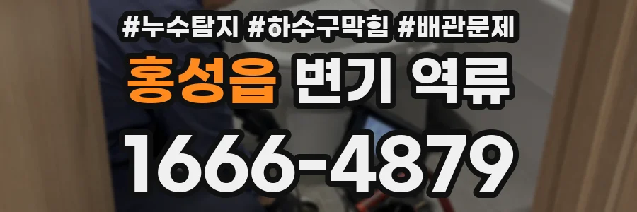 홍성읍 변기 역류