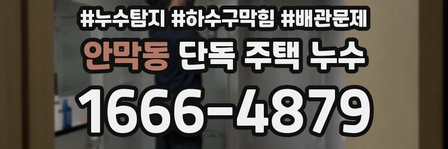 안막동 단독 주택 누수