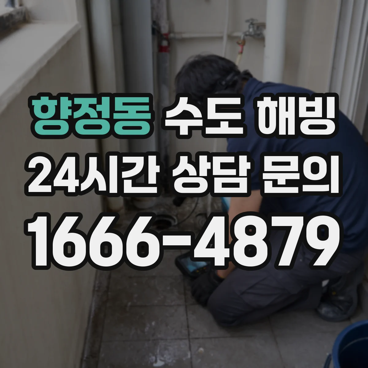 향정동 수도 해빙