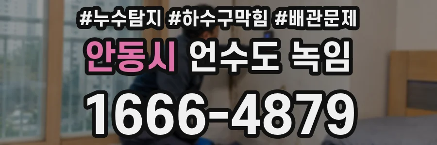 안동시 언수도 녹임