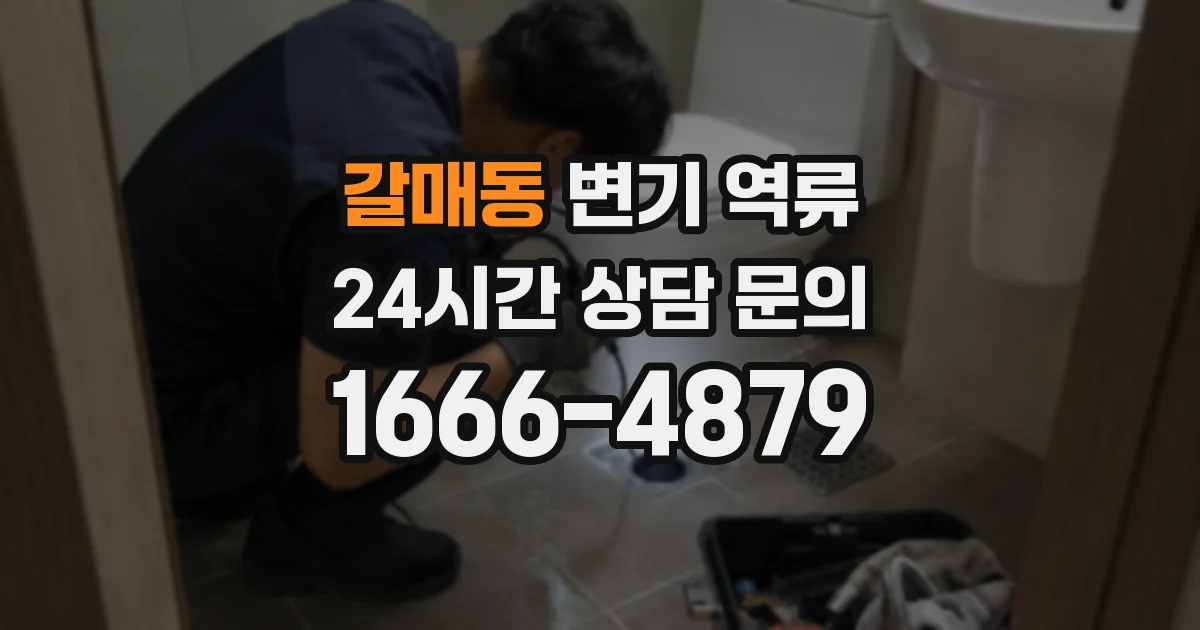 갈매동 변기 역류