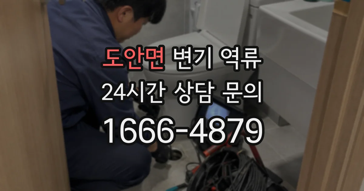 도안면 변기 역류