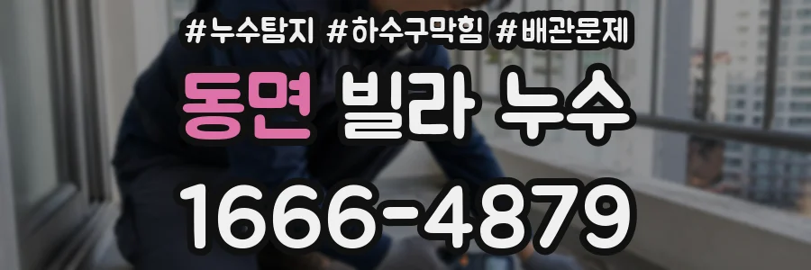 동면 빌라 누수