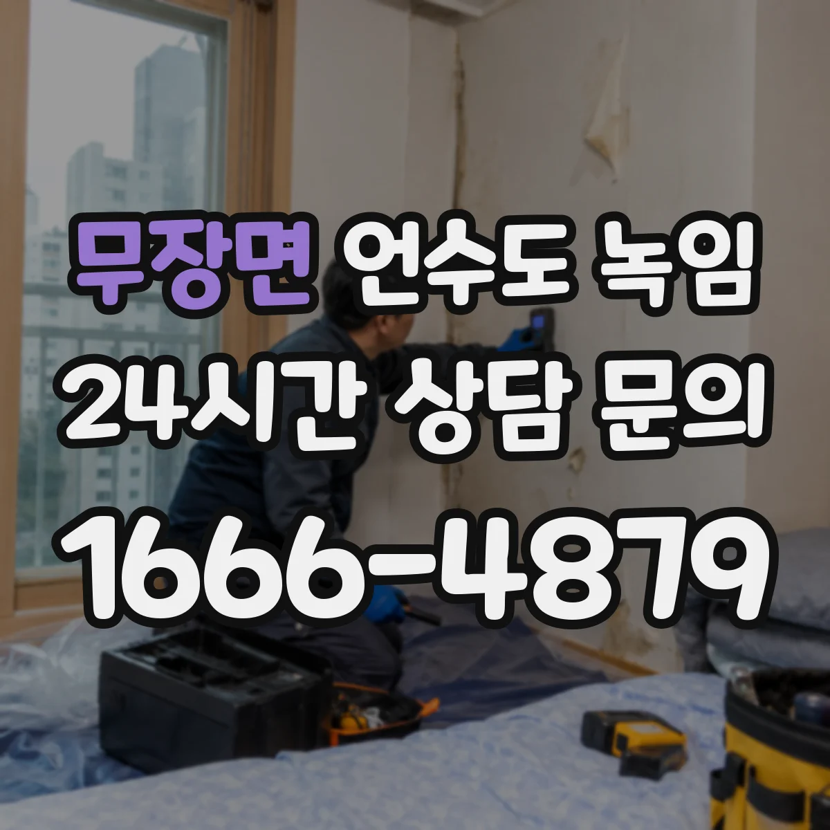 무장면 언수도 녹임