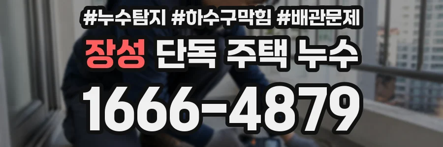 장성 단독 주택 누수