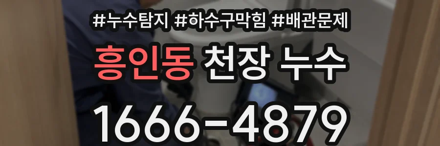 흥인동 천장 누수