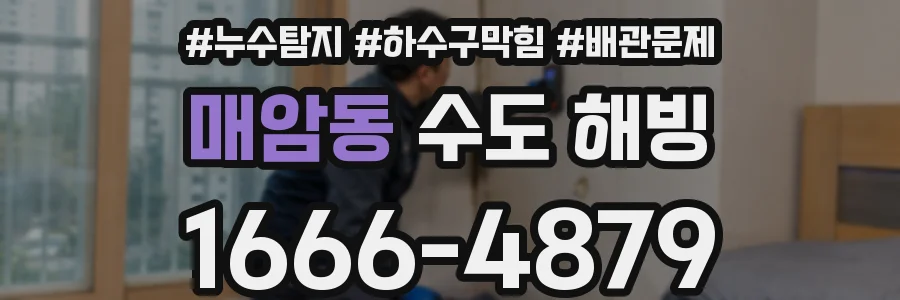 매암동 수도 해빙