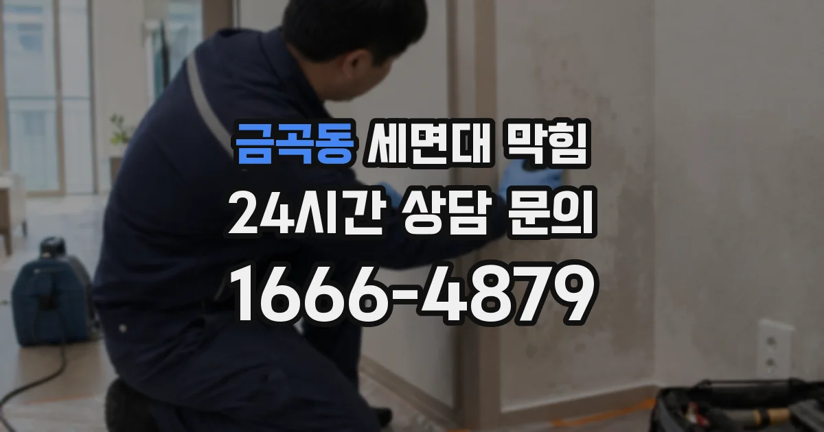 금곡동 세면대 막힘