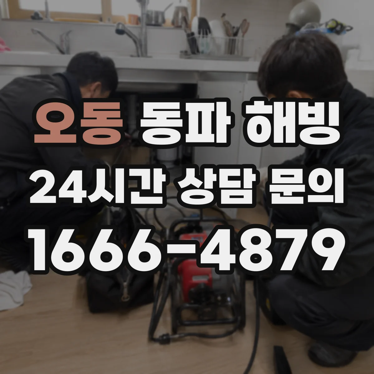 오동 동파 해빙