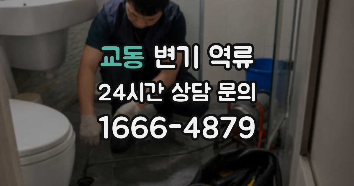 교동 변기 역류