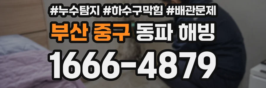 부산 중구 동파 해빙
