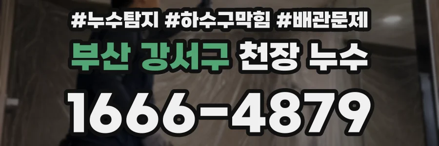 부산 강서구 천장 누수