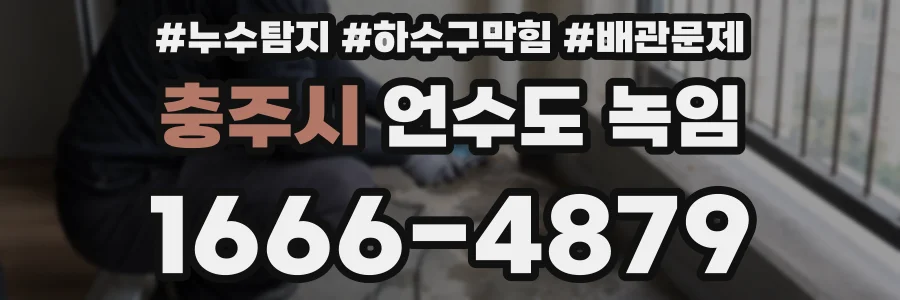 충주시 언수도 녹임