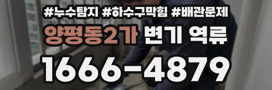 양평동2가 변기 역류