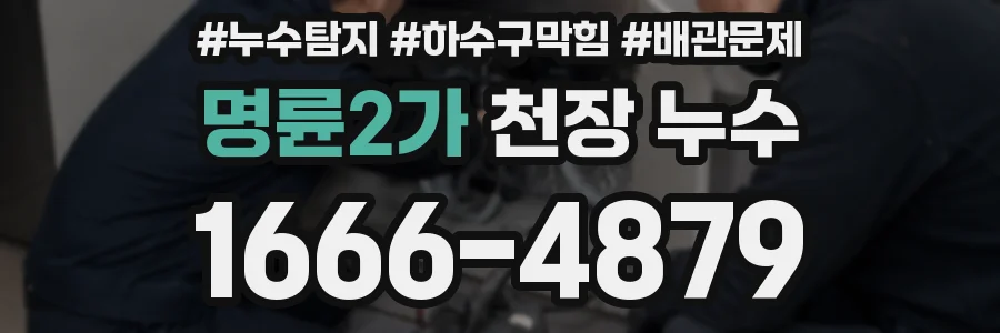 명륜2가 천장 누수
