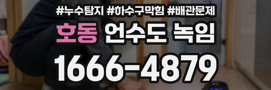 호동 언수도 녹임
