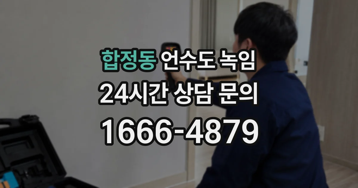 합정동 언수도 녹임