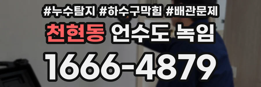 천현동 언수도 녹임