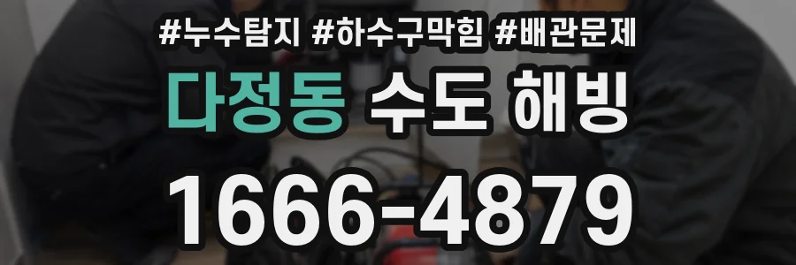 다정동 수도 해빙
