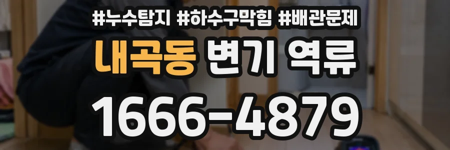 내곡동 변기 역류