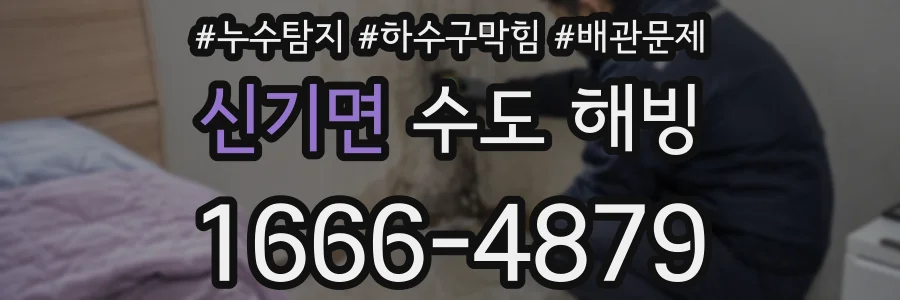 신기면 수도 해빙