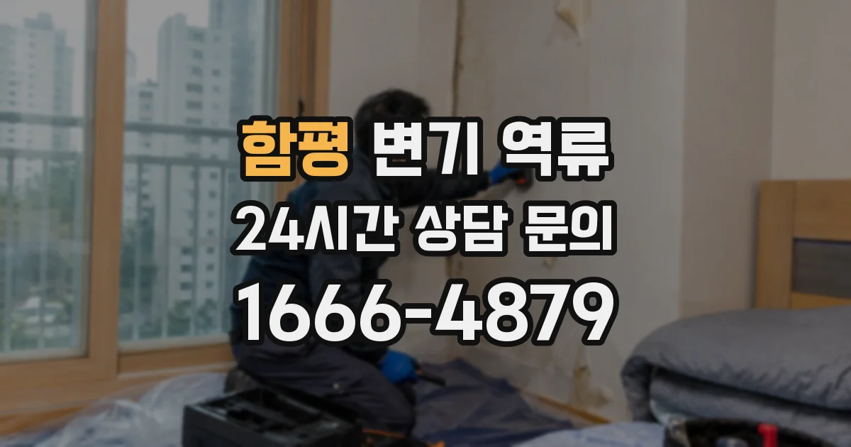 함평 변기 역류