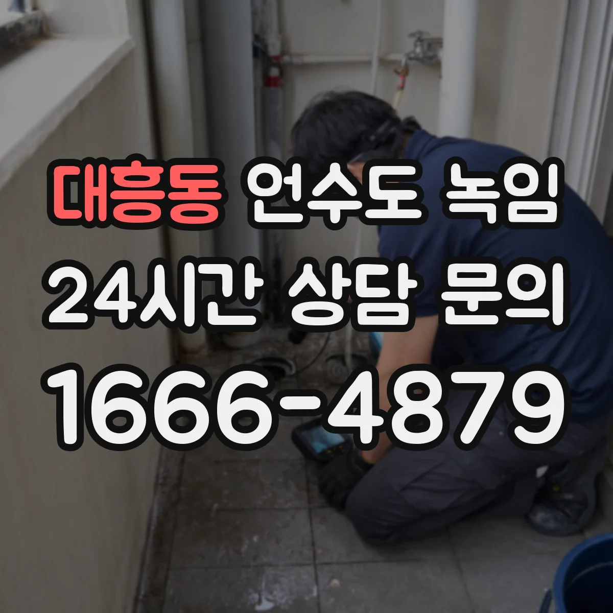 대흥동 언수도 녹임