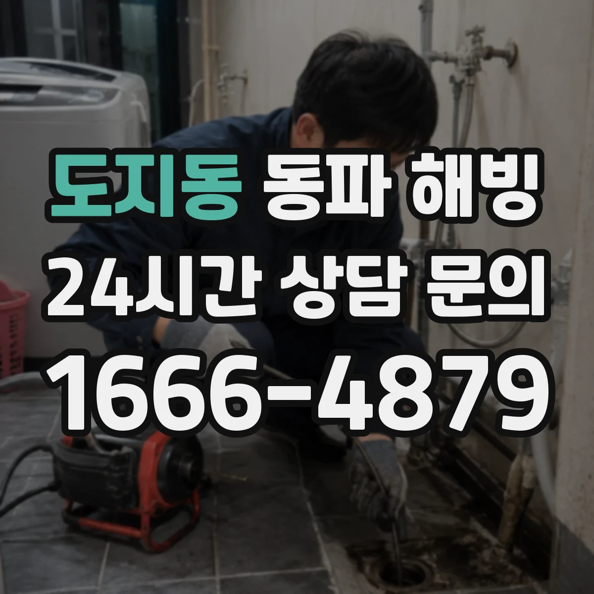 도지동 동파 해빙
