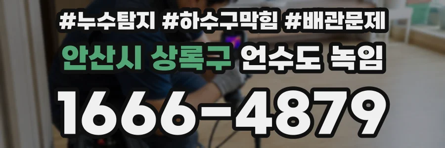 안산시 상록구 언수도 녹임