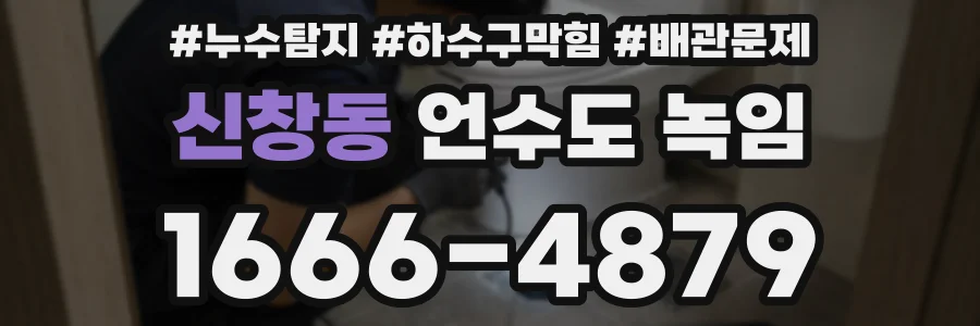 신창동 언수도 녹임