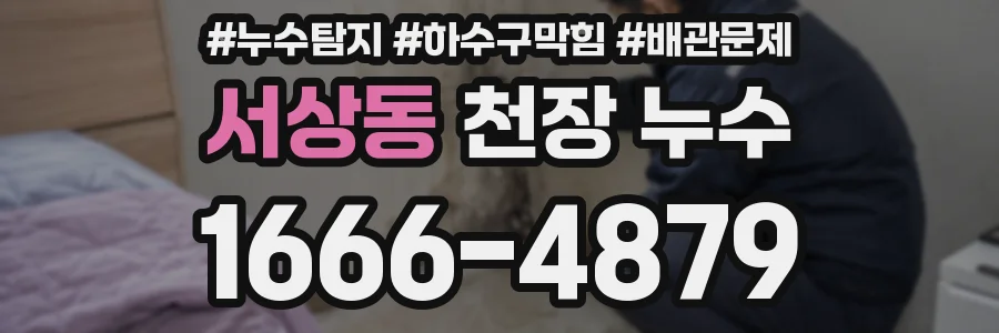 서상동 천장 누수